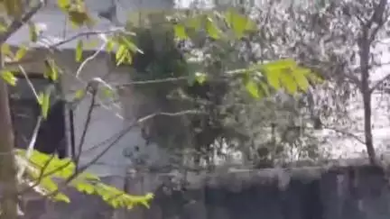 पलवल: पलवल में हरियाणा सीएम ने करोड़ों के शिलान्यास कार्य का उद्घाटन किया, हरीश बैसला ने बड़ोली CHC सेंटर की सुध लेने को कहा
