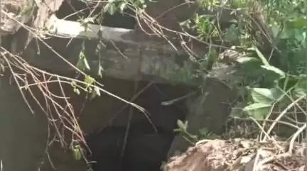 बड़गांव: चिकलवास गांव में 20 फीट गहरे कुएं में गिरी गाय, सिविल डिफेंस टीम ने 15 मिनट में सुरक्षित निकाला
