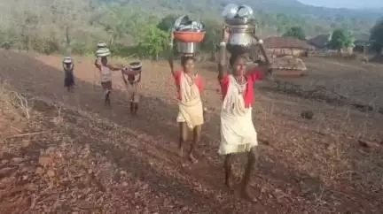 कवर्धा: वनांचल ग्राम बदनापानी में राष्ट्रपति के दत्तक पुत्र बैगा जनजाति झिरिया और कुएं का दूषित पानी पीने को मजबूर #jansamasya