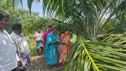 మంథని: ఆయిల్ ఫామ్ సాగు రైతులకు లాభదాయకం : హార్టికల్చర్ అధికారిని జ్యోతి
