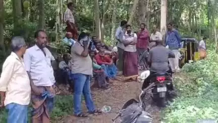 கிள்ளியூர்: சாத்தான்கோட்டில் மாயமான முதியவர் நடைக்காவு ஊராட்சி அலுவலகம் அருகே எலும்பு கூடாக மீட்பு