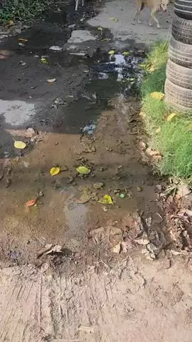 केशव नगर में मारुति सुजुकी वर्कशॉप की लापरवाही बनी लोगों की मुसीबत, मरीजों को खतरा
#jansamasya