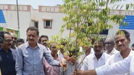 మాడుగుల లో మెగా జాబ్ మేళా కార్యక్రమాన్ని ప్రారంభించిన శాసనసభ్యుడు బండారు సత్యనారాయణమూర్తి