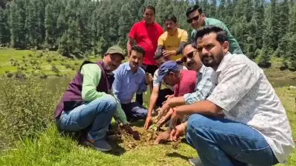 लोहाघाट:एक पौधा मां के नाम अभियान के तहत भाजपा ने लोहाघाट की कोली ढेक झील परिसर में किया पौध रोपण