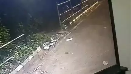 देवास नगर: औद्योगिक क्षेत्र स्थित कंपनी के परिसर में दिखा तेंदुआ, वन विभाग के अधिकारी ने की पुष्टि