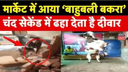 Eid-ul-Adha 2025: बकरीद में 12 लाख तक के बकरे,खाते है ड्राईफ्रूट्स! | Bakra Eid 2025 | Top News