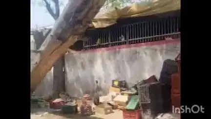 सलोन: सलोन कस्बा स्थित डाकघर में फल दुकानदारों के आक्रमण का वीडियो सोशल मीडिया पर वायरल, डाक विभाग में मचा हड़कंप