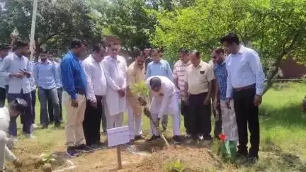 साढौरा: सढ़ौरा Govt.ITI में पर्यावरण दिवस पर कार्यक्रम, बच्चों को किया सम्मानित और पौधारोपण किया