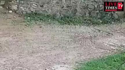 सोलन में चोरी करते हुए युवक CCTV में कैद, कपड़े जेंटलमैन जैसे लेकिन हरकतें चोरों वाली