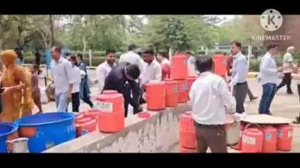 भिवानी: भिवानी में धूमधाम से निर्जला एकादशी मनाई गई, गौ रक्षों ने गौशाला में दिया हजारों कुंतल दान
