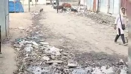 चाईबासा: शहर में साफ़ सफाई व्यवस्था पर सवाल खड़े कर रहे वार्डवासी, प्रशासक ने कहा मानसुन के पहले नालियां होगी दुरुस्त #jansamasya
