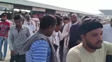 शाजापुर: शाजापुर कृषि उपज मंडी में 8740 क्विंटल प्याज की आवक, ₹1150 प्रति क्विंटल बिकी