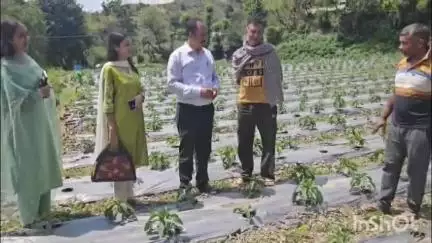 कंडाघाट: विकसित कृषि संकल्प अभियान के तहत कंडाघाट के 16 गांवों में कृषि विभाग के अधिकारियों की टीम पहुंची, किसानों की समस्याएं जानी गईं