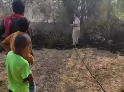 नोखा: मौडिहा गांव में अगलगी से हजारों रुपए के पौधे और बांस जलकर राख हो गए