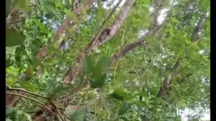 കോന്നി: ജനവാസമേഖലയിലെ കാട്ടാനക്കൂട്ടത്തെ നിരീക്ഷിക്കാന്‍ മേസിരിക്കാനയിലും, മന്തിക്കാനയിലും രണ്ട് കാമറകള്‍ കൂടി സ്ഥാപിച്ചു