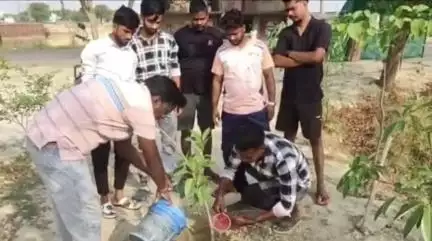 लालगंज: तरफकाजी में ग्राम प्रधान के नेतृत्व में वृक्षारोपण कार्यक्रम का आयोजन, पर्यावरण संरक्षण को लेकर लोगों को दिया गया संदेश