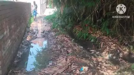 थरथरी: गोखुलपुर गांव के मुख्य गली में बहता है नाली का पानी, परेशानी #jansamasya