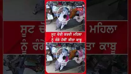 ਸੂਟ ਚੋਰੀ ਕਰਦੀ ਮਹਿਲਾ ਨੂੰ ਰੰਗੇ ਹੱਥੀਂ ਕੀਤਾ ਕਾਬੂ  | #shorts | N18S