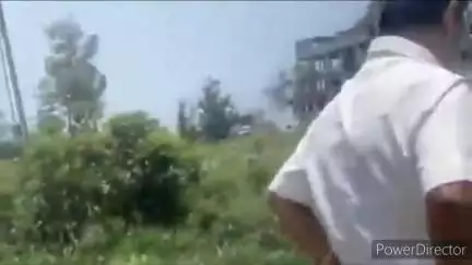 किच्छा: किच्छा विधायक तिलक राज बेहड़ ने सफाई अभियान का किया निरीक्षण