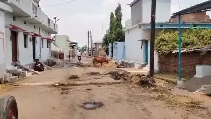 गंडई वार्ड 2 में ट्रैक्टर में भरकर ले जा रहे पैरा, निर्माणधीन नाली के मलबे से फिसलकर खंभे से टकराया ट्रैक्टर, शॉर्ट शर्क
