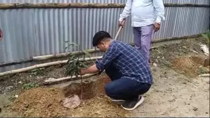 আমবাসা: বিশ্ব পরিবেশ দিবস উপলক্ষে শুক্রবার আমবাসা মহকুমা প্রশাসনের উদ্যোগ বৃক্ষরোপন কর্মসূচি অনুষ্ঠিত হয়