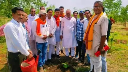 राजगढ़: राजगढ़ सांसद रोडमल नागर ने बिजासन मंदिर परिसर में किया पौधारोपण