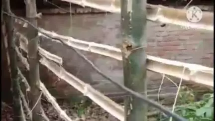 মগরাহাট ১: শেরপুর পূর্ব কাজলা পাড়া এলাকায় জমি সংক্রান্ত বিবাদ কে কেন্দ্র করে দুই পরিবারের গন্ডগোলের জেরে আক্রান্ত হয় এক মহিলা