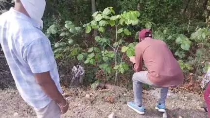 मंडला: राष्ट्रीय राजमार्ग 30 पर जोगी मंडी जंगल में मिली अज्ञात महिला का शव, वीडियो वायरल