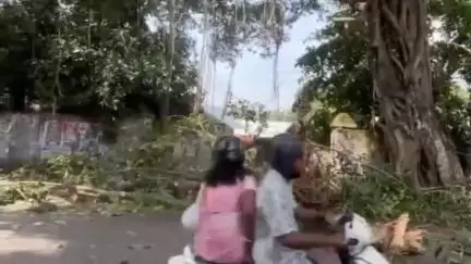 കൊല്ലം: കുണ്ടറ ഓണമ്പലത്ത് മരങ്ങളുടെ ശിഖരങ്ങൾ ഒടിഞ്ഞുവീണ് ഗതാഗതം തടസപ്പെട്ടു, അപകടം ഒഴിവായത് തലനാരിഴയ്ക്ക്