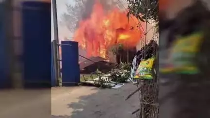 চোপড়া: চোপড়ার চুটিয়াখোর গ্রাম পঞ্চায়েতের কাঠালবাড়ি এলাকায় অগ্নিকাণ্ডের ঘটনায় চাঞ্চল্য ছড়িয়ে পড়ে