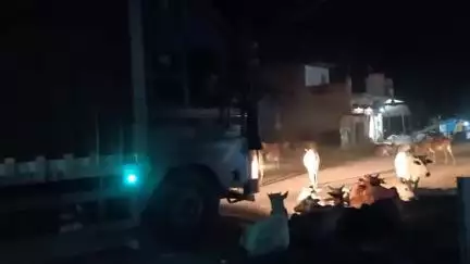 मझौली: मडवास जोगी पहाड़ी चौराहे पर आवारा मवेशियों का जमावड़ा, वाहनों से दुर्घटना में हो रही मौतें