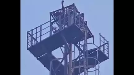 करहल: करहल के मोहल्ला सराय में टावर पर चारपाई पर लेटे एक युवक का वीडियो सोशल मीडिया पर हुआ वायरल
