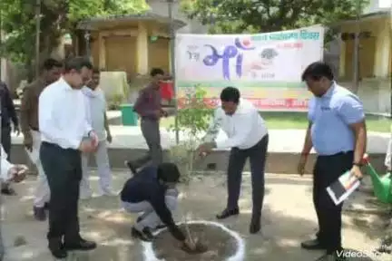 खबर औरैया से शहीद पार्क में हुआ वृक्षारोपण एक पेड़ मां के नाम