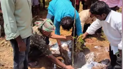 రామచంద్రపురం గ్రామంలో పర్యావరణ దినోత్సవం పరిష్కరించుకుని 300 మొక్కలు నాటుతున్న గ్రామ నాయకులు