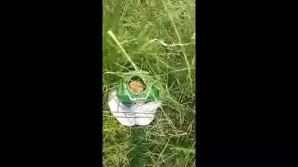 সাঁইথিয়া: সেকমপুরে রাস্তার ধারে উদ্ধার এক ডজন তাজা বোমা,আতঙ্কে সাধারণ মানুষ