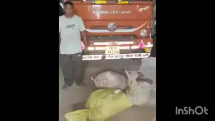 मोहनपुर: बाराचट्टी पुल के पास मालवाहक ट्रक से डोडा चूर्ण के साथ चालक गिरफ्तार