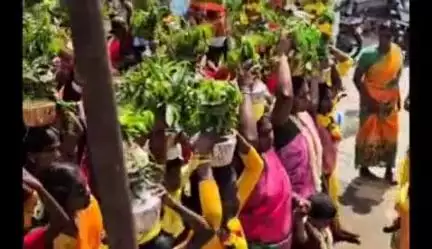 வேப்பந்தட்டை: வேத மாரியம்மன் கோயிலில் தேர் திருவிழாவை முன்னிட்டு ஏராளமான பால்குடம் எடுத்து ஊர்வலம்