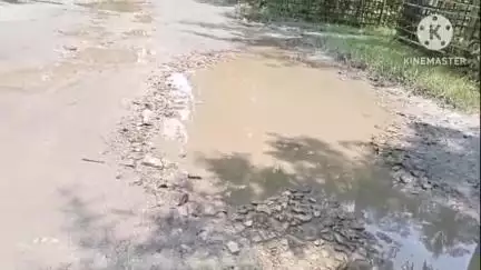 নগাঁও: চমুৱাগাঁৱত যাতায়তৰ মূল পথত চাৰি বছৰে নপৰিল এটাও শিলগুটি,পথ নিৰ্মাণৰ দাবী অঞ্চলবাসীৰ #jansamasya