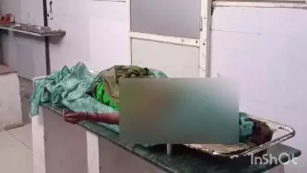 सरदारपुर: सरदारपुर में इंदौर-अहमदाबाद फोरलेन पर अज्ञात वाहन की टक्कर से महिला की हुई मौत, पुलिस ने मर्ग किया कायम