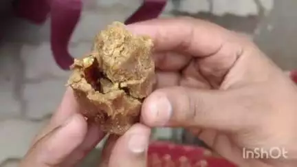 மதுரை தெற்கு: பழங்காநத்தம் அங்கன்வாடி மையத்தில் குழந்தைகளுக்கு வழங்கிய கொழுக்கட்டையில் கரப்பான் பூச்சி இருந்ததால் பரபரப்பு