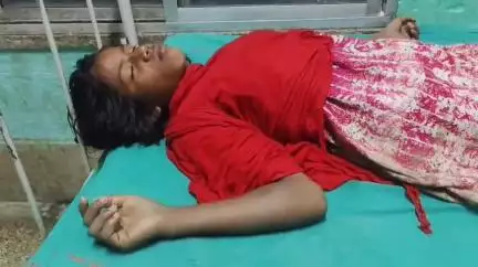 ক্যানিং ১: ক্যানিং এর বধূকুলা গ্রামে পারিবারিক অশান্তির জেরে সংঘর্ষে আহত দুই, ক্যানিং মহকুমা হাসপাতালে চিকিৎসাধীন