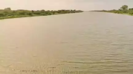 हनुमानगढ़: हनुमानगढ़ में नाली बैड में 10 जून से पहले फसल काटने की हिदायत, अस्थाई बंधे हटाएगी नगर परिषद