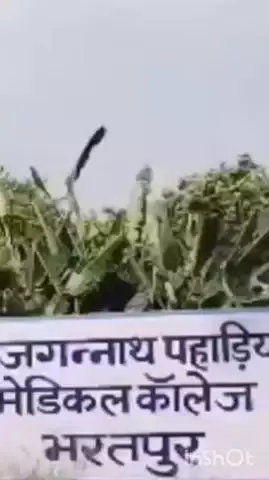 भरतपुर: भरतपुर मेडिकल कॉलेज में डमी स्टूडेंट को किया गया गिरफ्तार