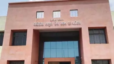 વાઘોડિયા: સામાન્ય ગ્રામ પંચાયત અને પેટા પંચાયતની ચૂંટણી માટે સરપંચ ઉમેદવારોમાં થનગનાટ, ફોર્મ ભરવાના શરૂ થતા કચેરીએ માનવ મહેરામણ