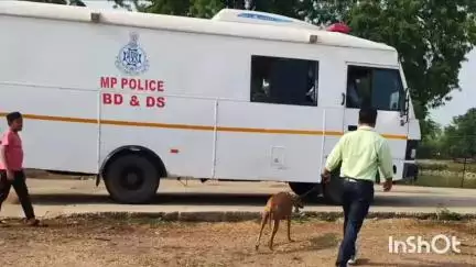 सिवनी मालवा: सिवनी मालवा में बकरीद की तैयारियां पूरी, पुलिस अधीक्षक के निर्देश पर बम निरोधक दस्ते ने ईदगाह का किया निरीक्षण