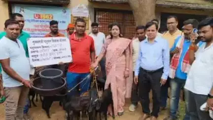 दुलमी: प्रखंड पशु चिकित्सक कार्यालय गोला में विधायक द्वारा 35 लाभुकों को बकरी का वितरण