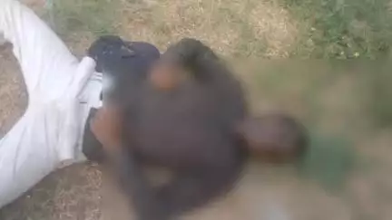 बिलारी: बिलारी कोतवाली क्षेत्र के सतारन गांव के जंगल में मिला अज्ञात व्यक्ति का शव, मौके पर पहुंची पुलिस