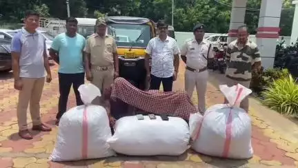ଗୋପାଳପୁର: ହରିପୁର ଠାରେ  ଅବକାରୀ ଗୁଇନ୍ଦା ବିଭାଗର ଚଢାଉ, ୯୧ କେଜି ଗଞ୍ଜେଇ ଜବତ ସହ ୩ ଅଭିଯୁକ୍ତ ଗିରଫ
