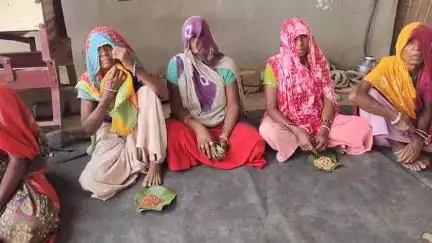 ઝાલોદ: થેરકા ખાતે બીજ ઉત્સવ ઉજવણી કરાઈ