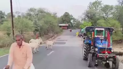 पचोर: पचोर के पास उमरिया जोड़ पर नाले में पलटी सरिया से भरी ट्राली, टला बड़ा हादसा